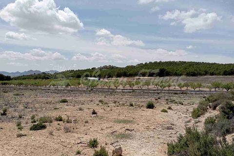 Helårsgrund i Yecla, Murcia, Yecla - € 25.000 | Ref: SF0457 - foto 13